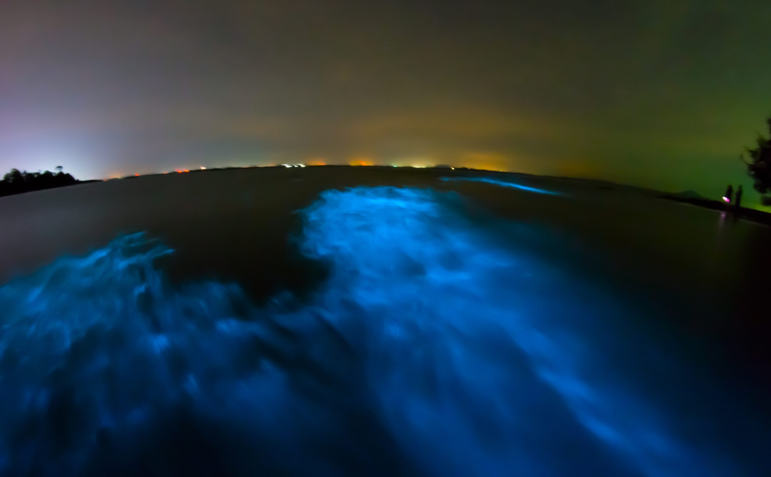 Paddle into the Glowing Unknown: Solo vs. Guided Bioluminescent Kayaking Adventures