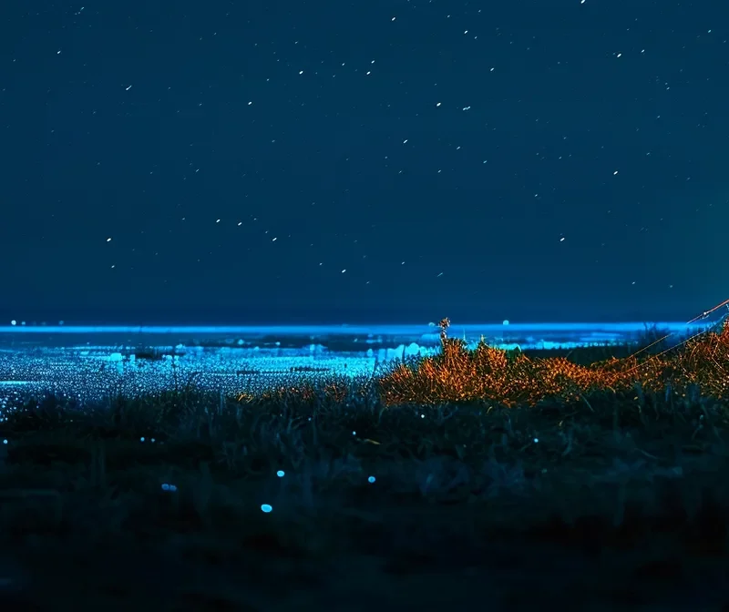 glowing tent under the shimmering night sky by bioluminescent waters.