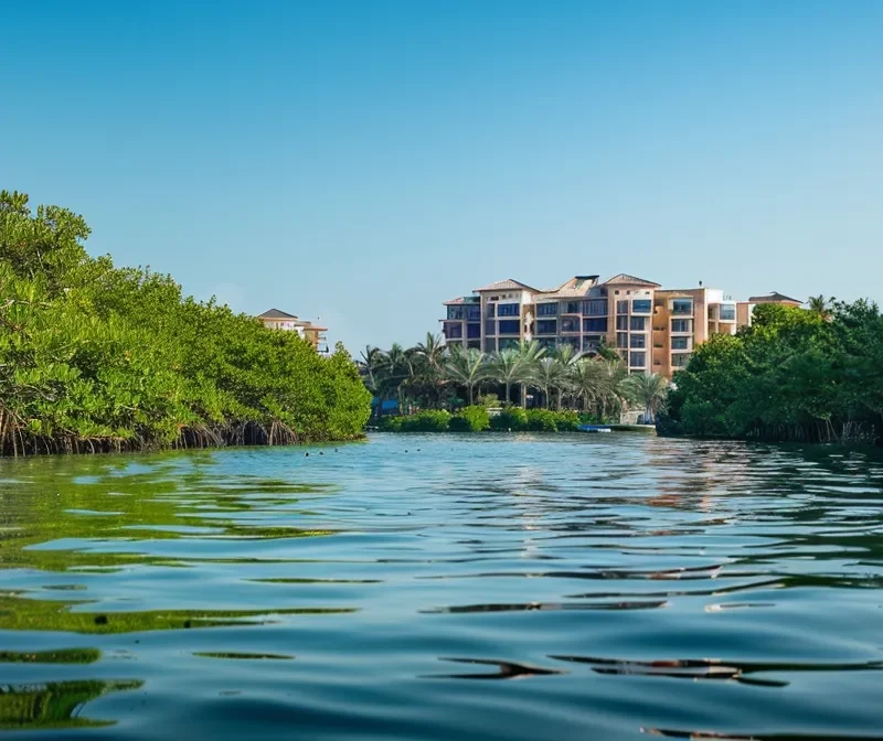 a serene morning kayaking excursion with lush mangroves and sparkling water, with a hotel in the distance under a clear blue sky.