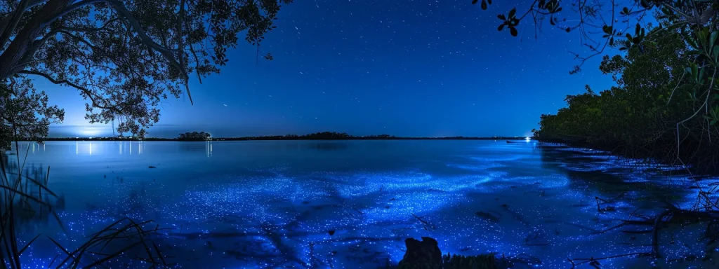 a mesmerizing night paddle through glowing waters on a merritt island bioluminescent kayak tour.
